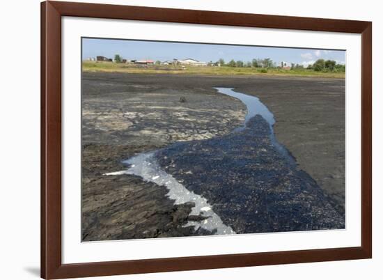 La Brea Pitch Lake-Tony-Framed Photographic Print