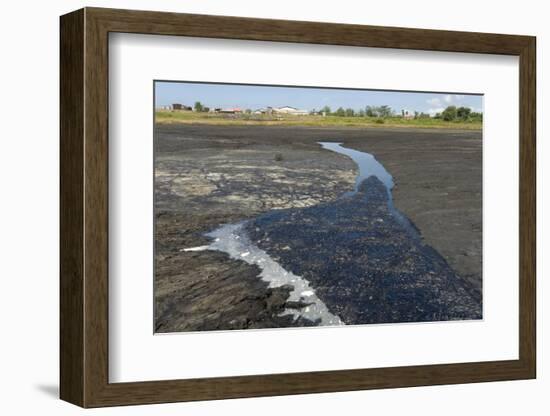 La Brea Pitch Lake-Tony-Framed Photographic Print