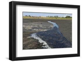 La Brea Pitch Lake-Tony-Framed Photographic Print