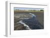 La Brea Pitch Lake-Tony-Framed Photographic Print