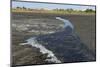 La Brea Pitch Lake-Tony-Mounted Photographic Print