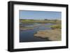 La Brea Pitch Lake-Tony-Framed Photographic Print