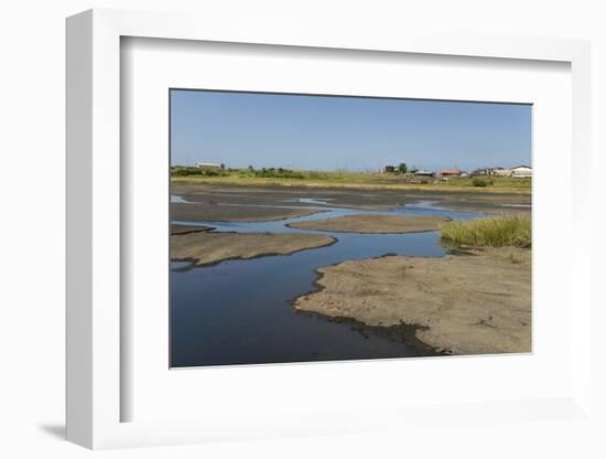 La Brea Pitch Lake-Tony-Framed Photographic Print