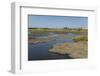 La Brea Pitch Lake-Tony-Framed Photographic Print