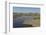 La Brea Pitch Lake-Tony-Framed Photographic Print