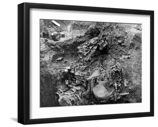 Photo, , large