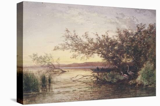 La Camargue, coucher de soleil-Félix Ziem-Stretched Canvas