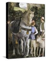 La Camera Degli Sposi: Grooms with Horse and Two Dogs-Andrea Mantegna-Stretched Canvas