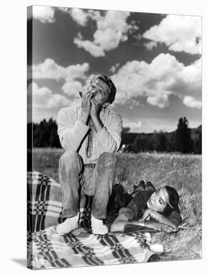 La captive aux yeux clairs THE BIG SKY by HowardHawks with Kirk Douglas, Elizabeth Threatt, 1952 (b-null-Stretched Canvas