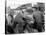 La Caravane heroique (Virginia City) by MichaelCurtiz with Errol Flynn and Randolph Scott, 1940 (b/-null-Stretched Canvas