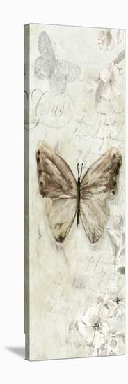 La Chanson du Papillon I-Carol Robinson-Stretched Canvas