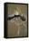 La Chanteuse: Yvette Gilbert-Henri de Toulouse-Lautrec-Framed Stretched Canvas