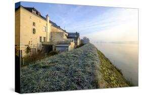 La Chapelle Sur Loire, Loire Valley, UNESCO World Heritage Site, Indre Et Loire, France, Europe-Nathalie Cuvelier-Stretched Canvas