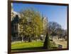 La Cite, Small Garden near the Cathedrale (Cathedral) De Notre Dame-Massimo Borchi-Framed Photographic Print