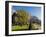 La Cite, Small Garden near the Cathedrale (Cathedral) De Notre Dame-Massimo Borchi-Framed Photographic Print