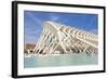 La Ciudad De Las Artes Y Las Ciencias (City of Arts and Sciences), Valencia, Spain-Chris Hepburn-Framed Photographic Print