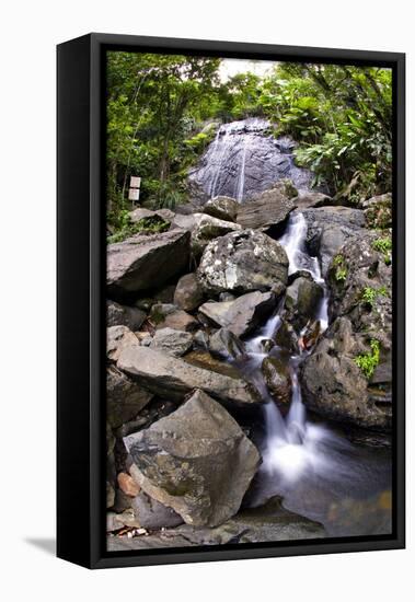 La Coca Waterfall, Puerto Rico-George Oze-Framed Stretched Canvas