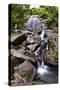 La Coca Waterfall, Puerto Rico-George Oze-Stretched Canvas