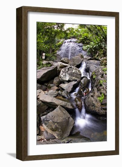 La Coca Waterfall, Puerto Rico-George Oze-Framed Photographic Print