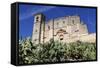 La Colegiata, the 16th Century Renaissance Church, Osuna, Andalucia, Spain, Europe-Stuart Black-Framed Stretched Canvas