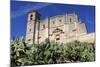 La Colegiata, the 16th Century Renaissance Church, Osuna, Andalucia, Spain, Europe-Stuart Black-Mounted Photographic Print