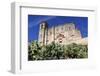 La Colegiata, the 16th Century Renaissance Church, Osuna, Andalucia, Spain, Europe-Stuart Black-Framed Photographic Print