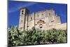 La Colegiata, the 16th Century Renaissance Church, Osuna, Andalucia, Spain, Europe-Stuart Black-Mounted Photographic Print