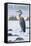 La Conner, Washington - Blue Heron-Lantern Press-Framed Stretched Canvas