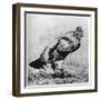 La Coq, C1850-1910-Felix Bracquemond-Framed Giclee Print