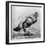 La Coq, C1850-1910-Felix Bracquemond-Framed Giclee Print