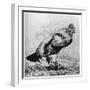 La Coq, C1850-1910-Felix Bracquemond-Framed Giclee Print