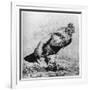 La Coq, C1850-1910-Felix Bracquemond-Framed Giclee Print