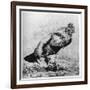 La Coq, C1850-1910-Felix Bracquemond-Framed Giclee Print