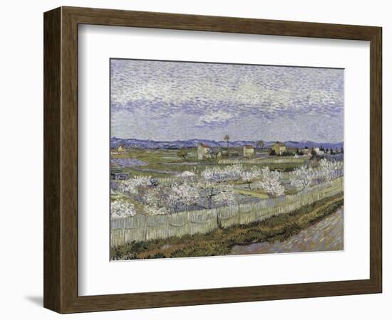 La Crau with Peach Trees in Bloom-Vincent van Gogh-Framed Giclee Print