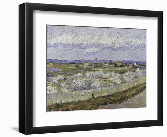 La Crau with Peach Trees in Bloom-Vincent van Gogh-Framed Giclee Print