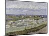 La Crau with Peach Trees in Bloom-Vincent van Gogh-Mounted Giclee Print