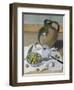 La Cruche-Felix Vallotton-Framed Giclee Print