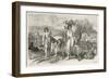 La Culture Des Jardins a L'Epoque Du Bronze-Emile Antoine Bayard-Framed Giclee Print