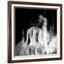 La Dama (The Woman) Remix-Gideon Ansell-Framed Photographic Print