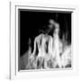 La Dama (The Woman) Remix-Gideon Ansell-Framed Premium Photographic Print