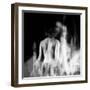 La Dama (The Woman) Remix-Gideon Ansell-Framed Premium Photographic Print