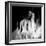 La Dama (The Woman) Remix-Gideon Ansell-Framed Premium Photographic Print