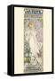 La Dame Aux Camelias-Alphonse Mucha-Framed Stretched Canvas