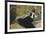 La dame aux éventails, Nina de Callias-Edouard Manet-Framed Giclee Print