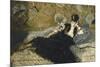 La dame aux éventails, Nina de Callias-Edouard Manet-Mounted Giclee Print
