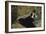 La Dame Aux Eventails-Edouard Manet-Framed Giclee Print