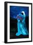 La Dame en Bleu, 2009-Patricia Brintle-Framed Giclee Print