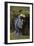 La Dame En Bleu-Jean-Baptiste-Camille Corot-Framed Giclee Print