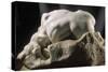 La Danaïde-Auguste Rodin-Stretched Canvas