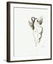 La danse-Apelles Fenosa-Framed Limited Edition